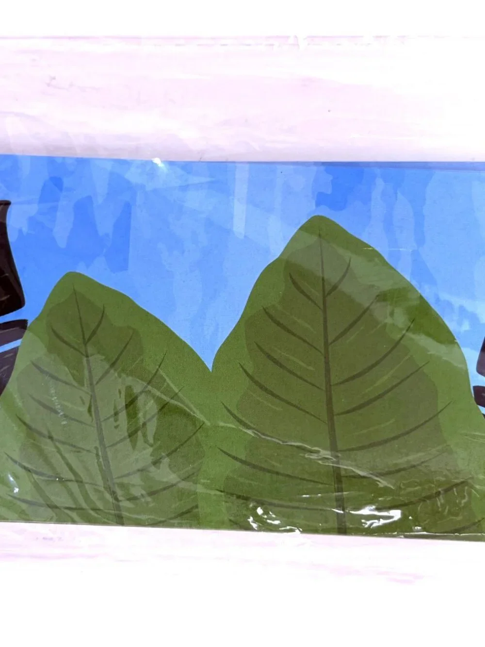 NWT 2-Pack Botanical Bulletin Board Borders Eucalyptus and Tropical Leaves